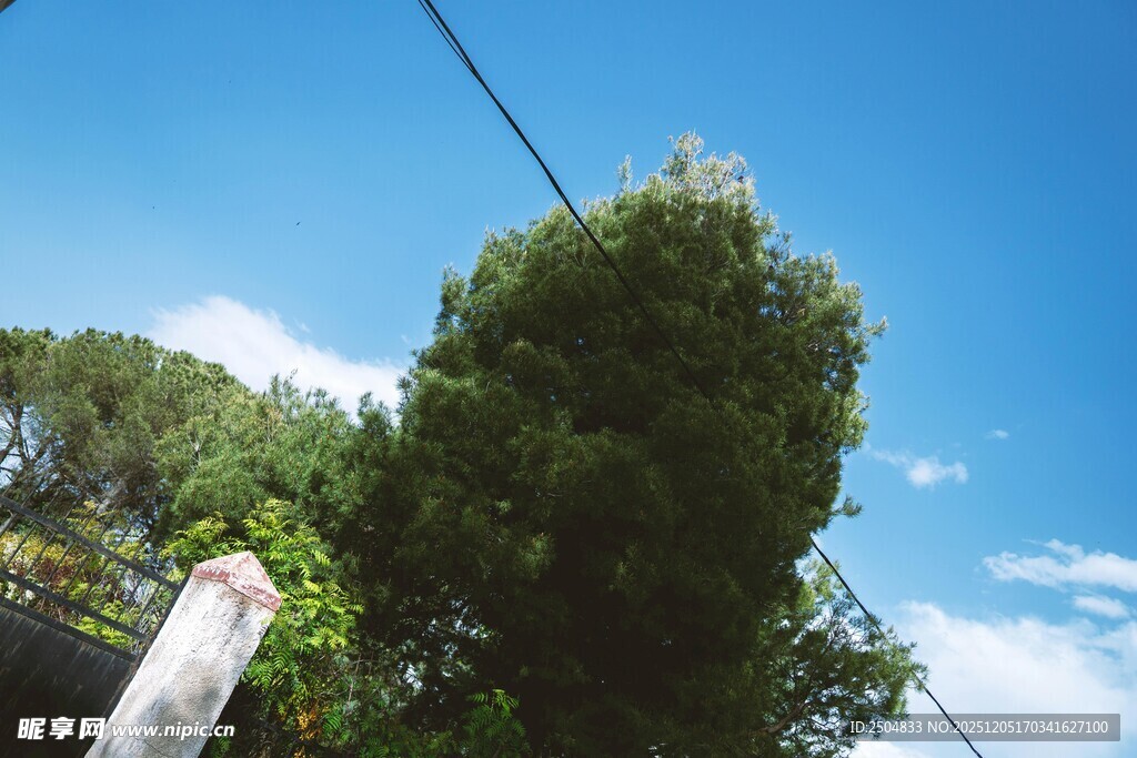 蓝天绿树风景