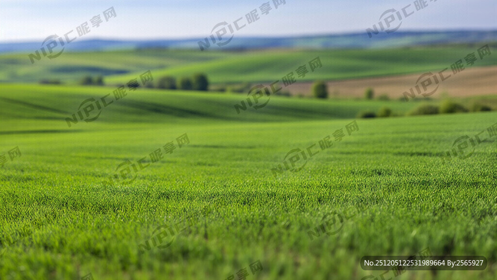 田园背景 绿色