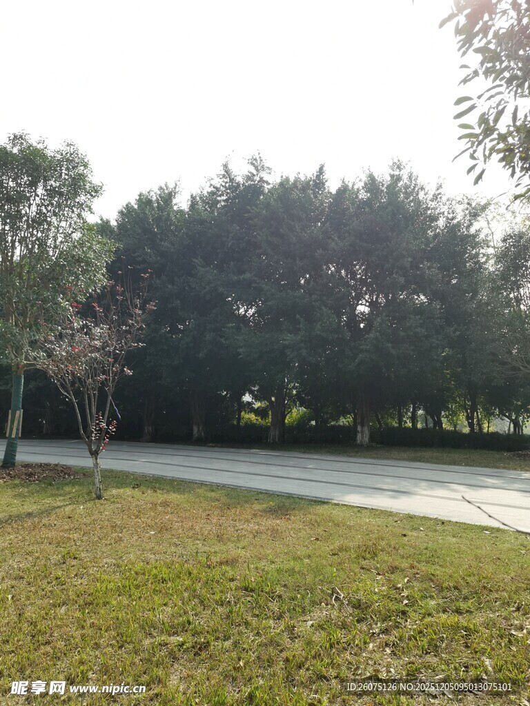 户外绿意盎然的休闲场景