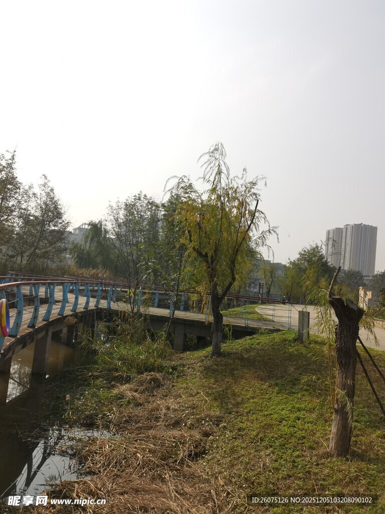 河畔木桥边的秋日景致