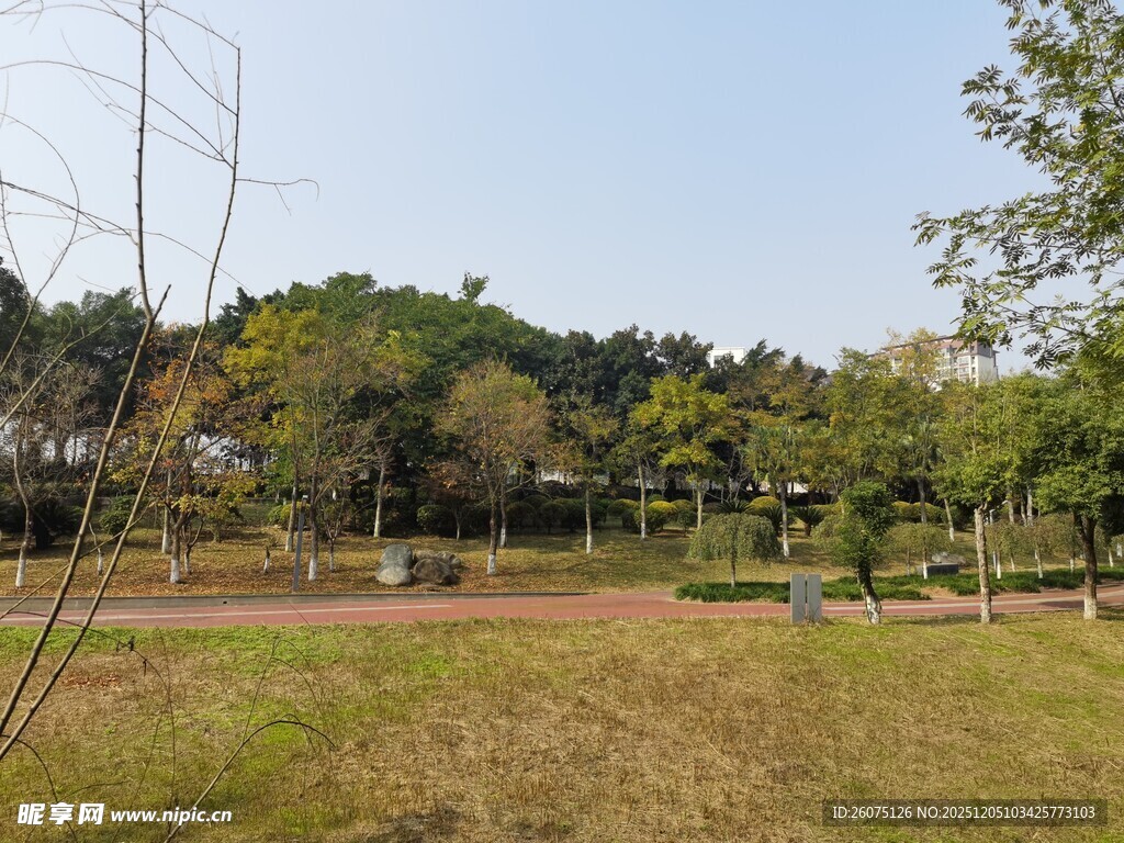户外开阔草地与树木景观