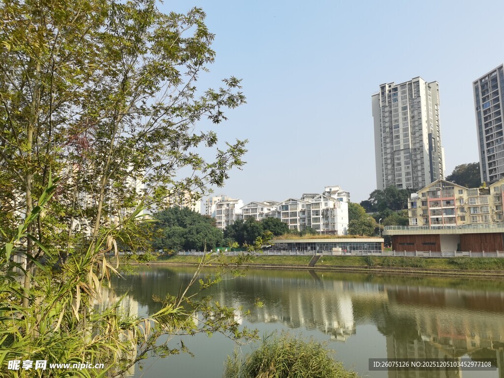 城市湖畔风光