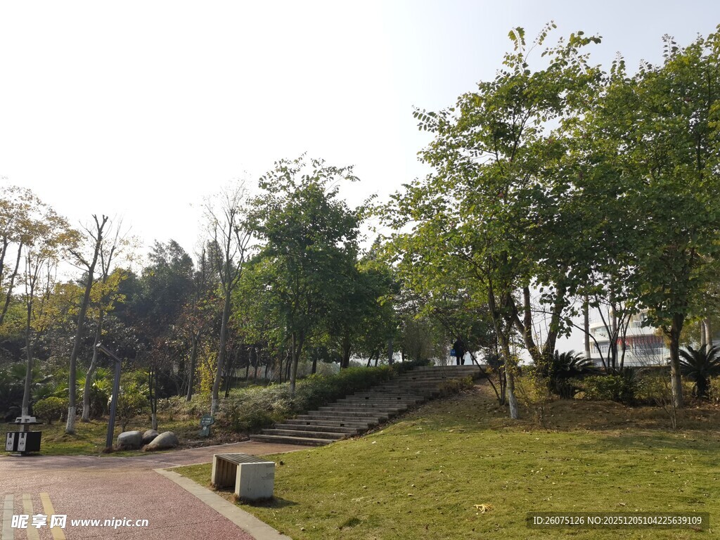 公园绿意盎然的休闲场景