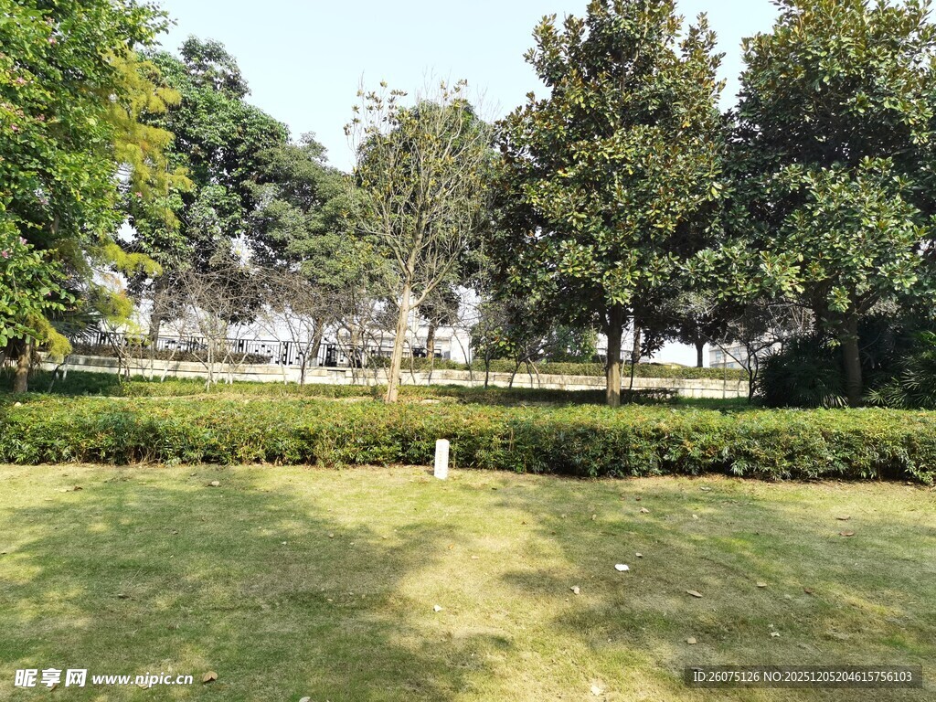 绿意盎然的户外园林景观