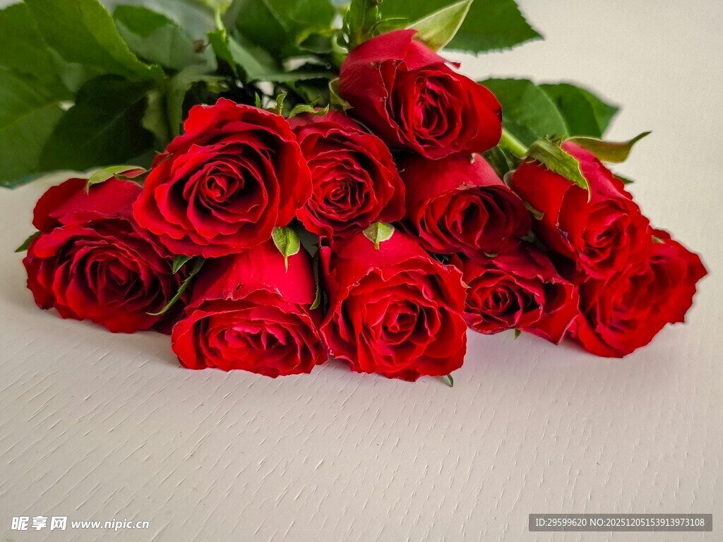 娇艳红玫瑰一束