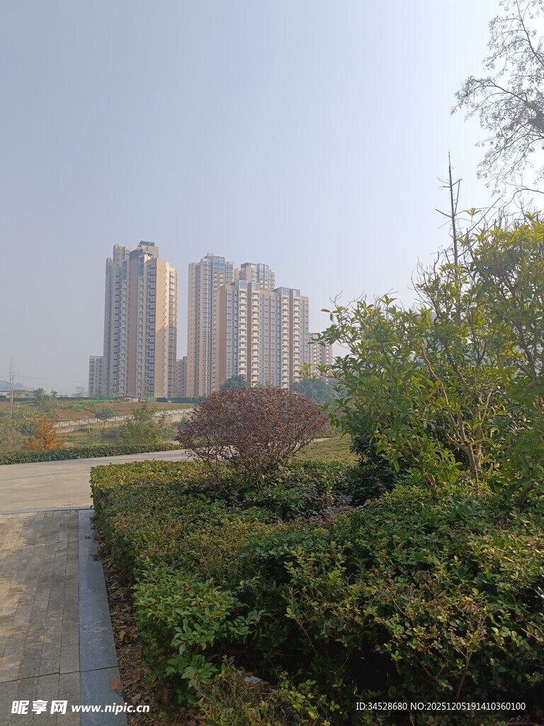 城市旁绿意盎然的园林景观