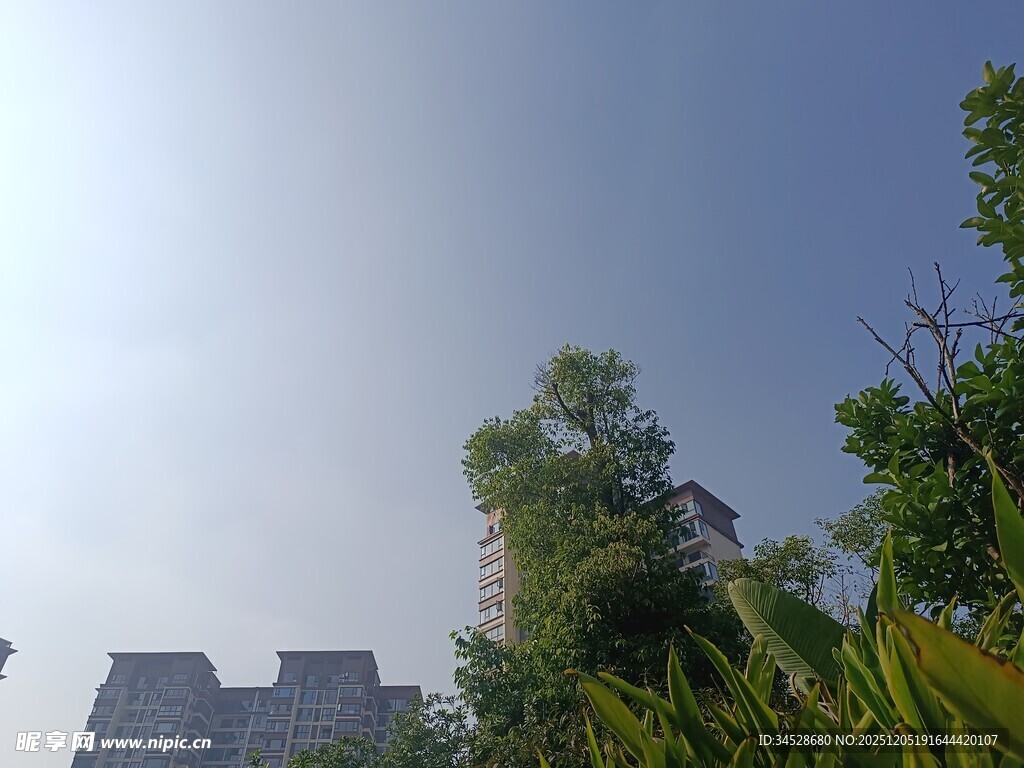 蓝天绿树旁的高楼建筑