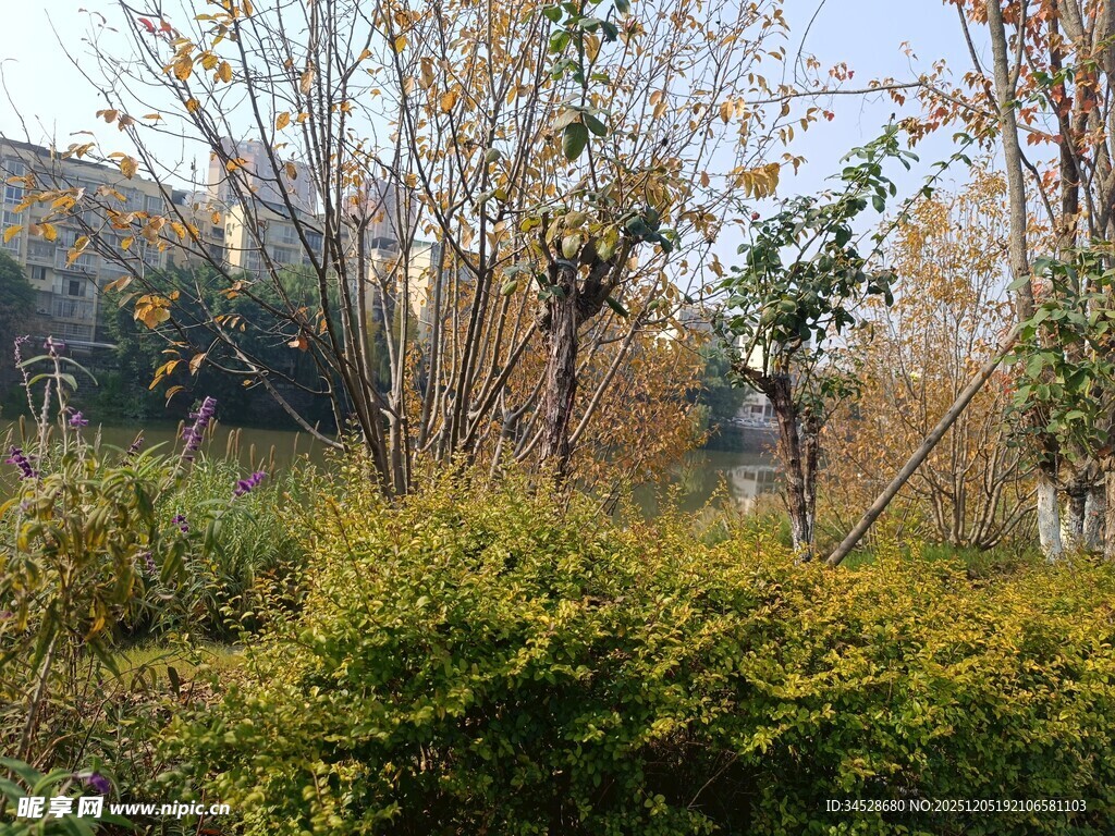 秋日园林绿植景观