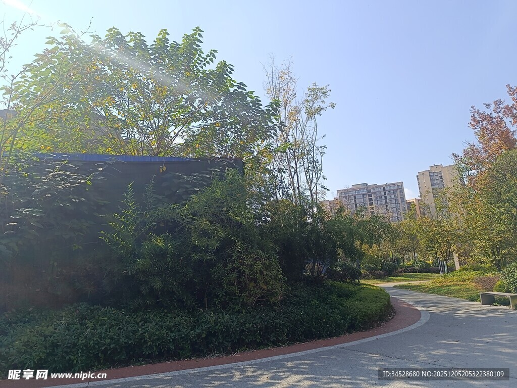 城市中的静谧绿化景观