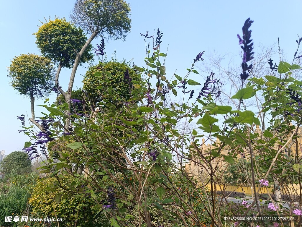 造型独特的绿植景观