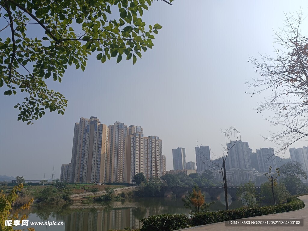 城市河畔高楼景观