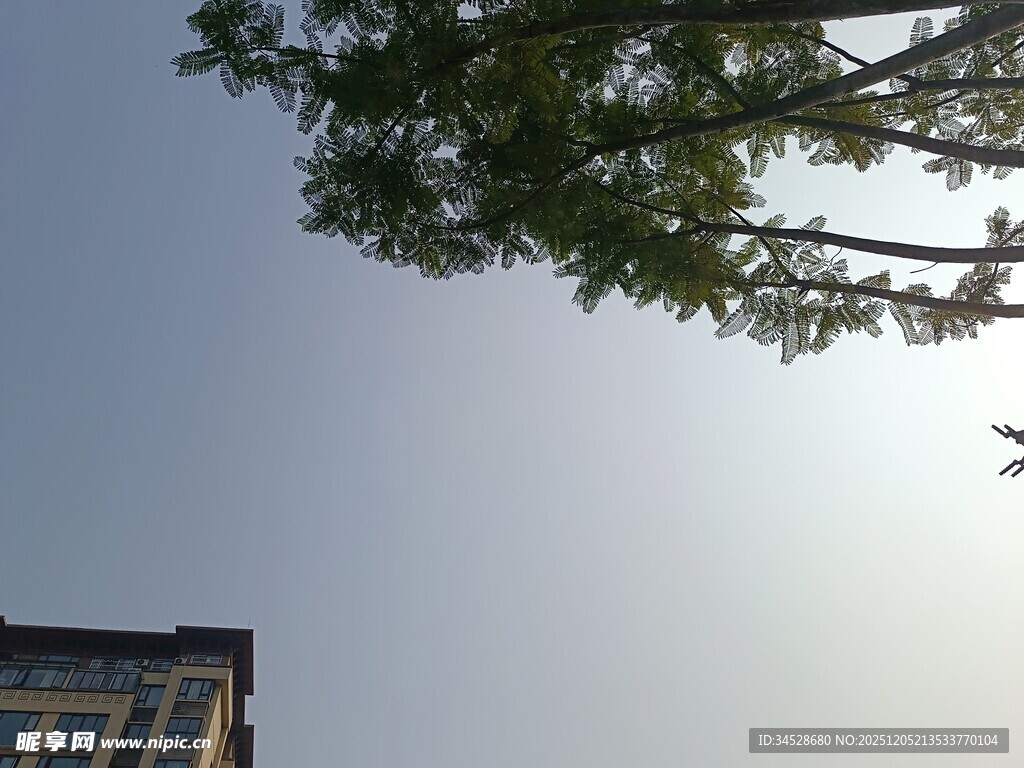 蓝天绿树旁的建筑一角