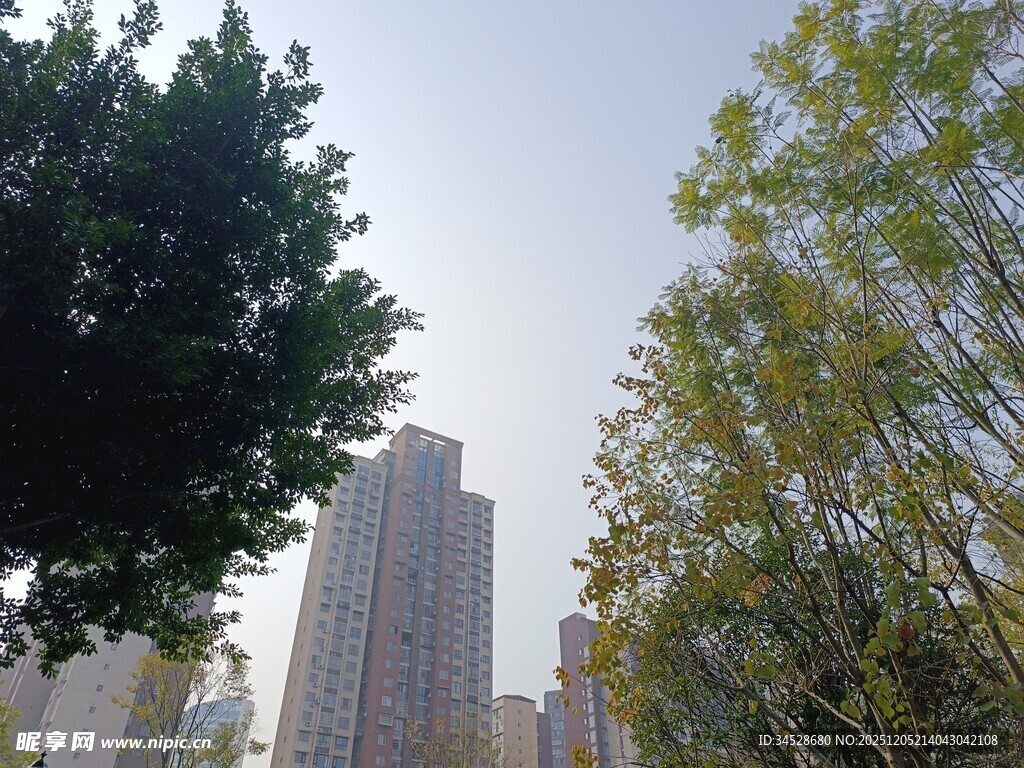 城市高楼与绿树景观