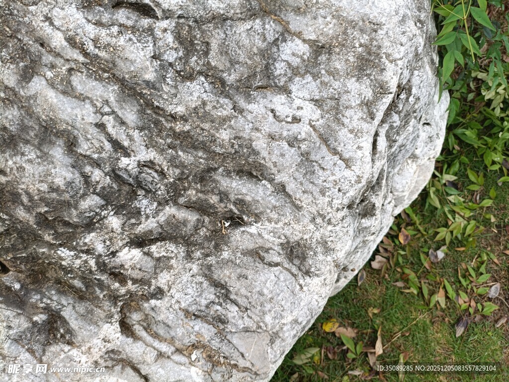 灰色纹理岩石特写