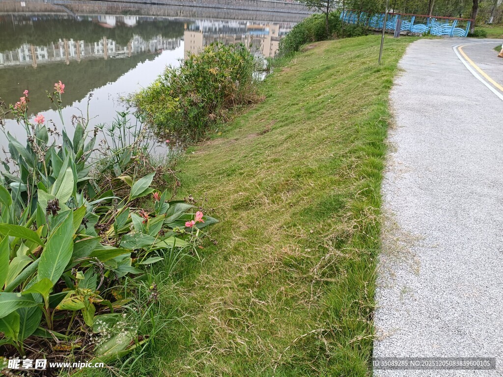 河边绿植环绕的步道