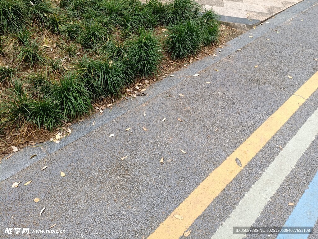 路边人行道及绿化带景象