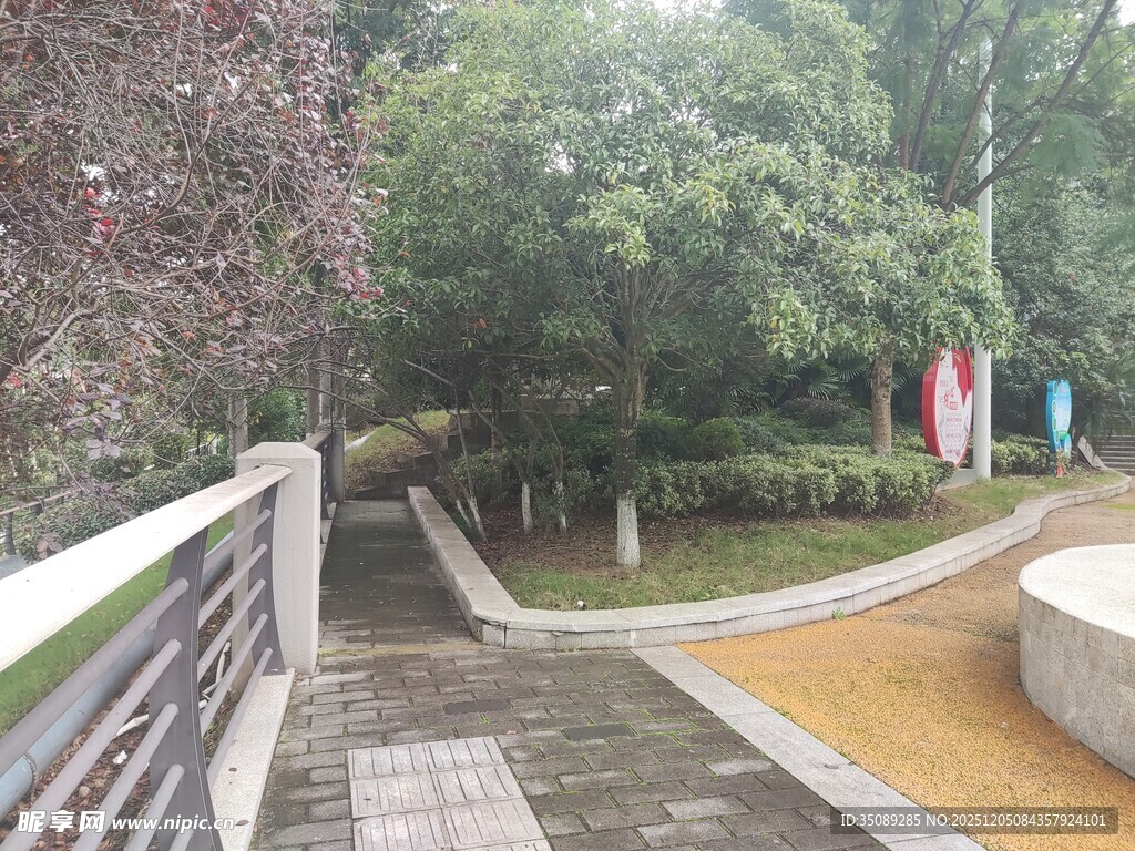 公园中的林荫步道景观