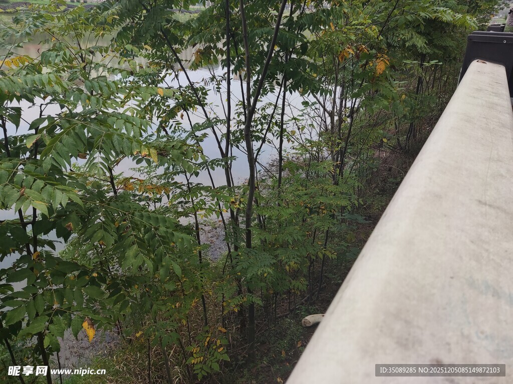 窗外绿意盎然的景致