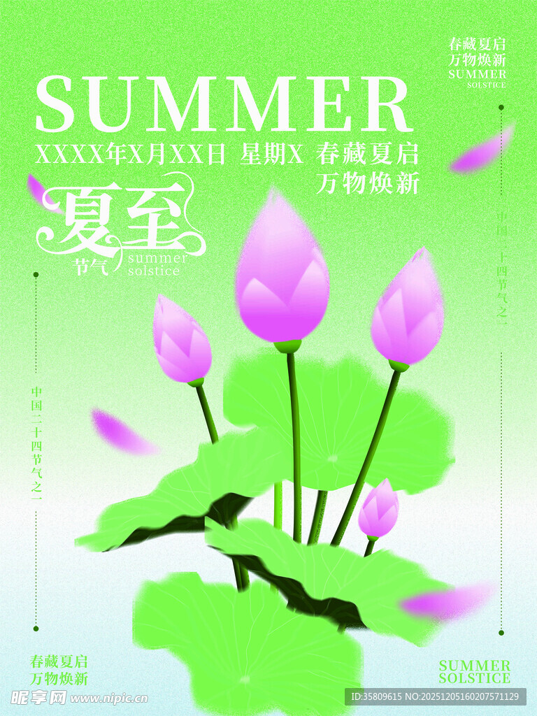 夏日清新荷花插画