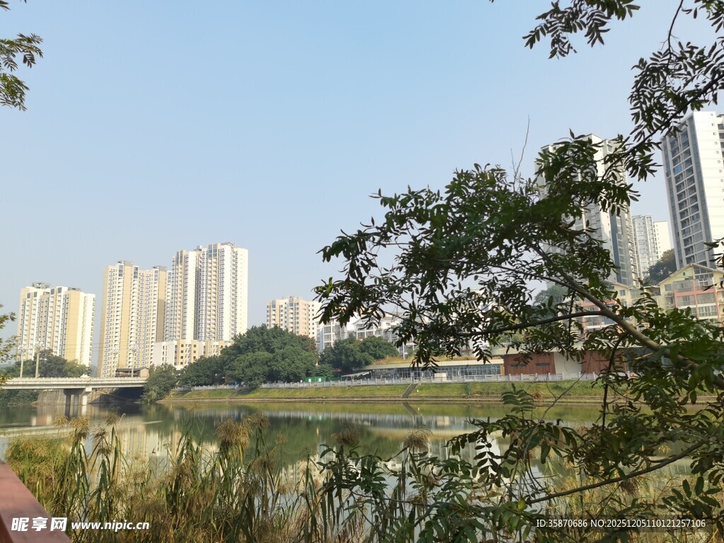 城市河畔风景