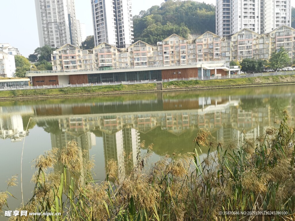 城市湖畔风光