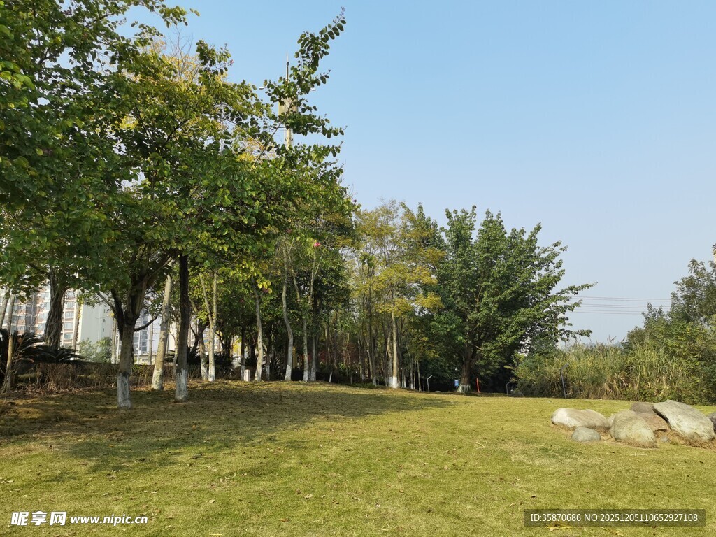 户外绿意盎然的休闲草地