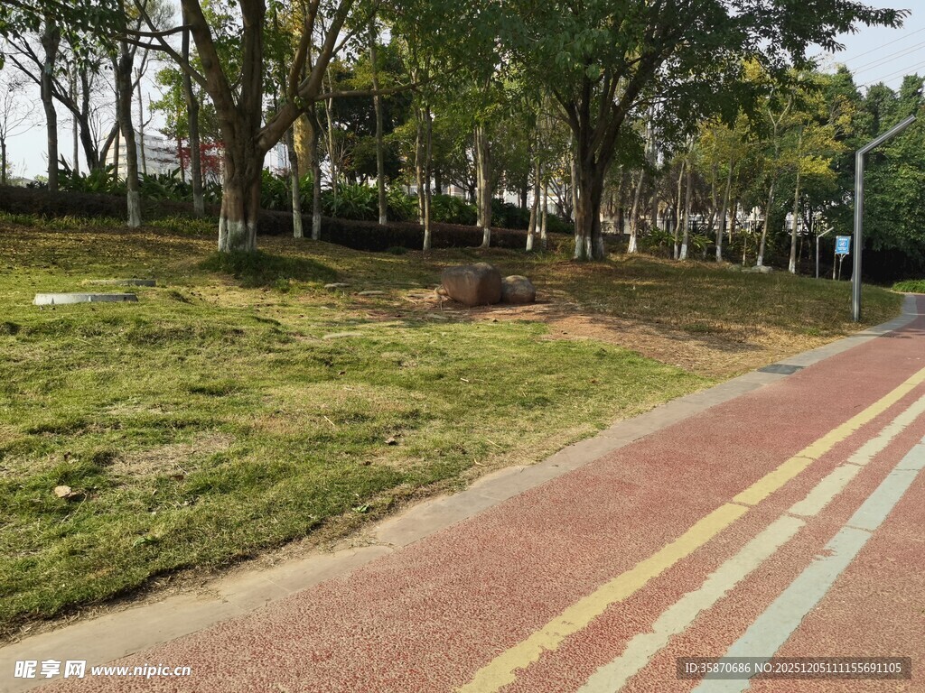 公园彩色步道与绿树景观