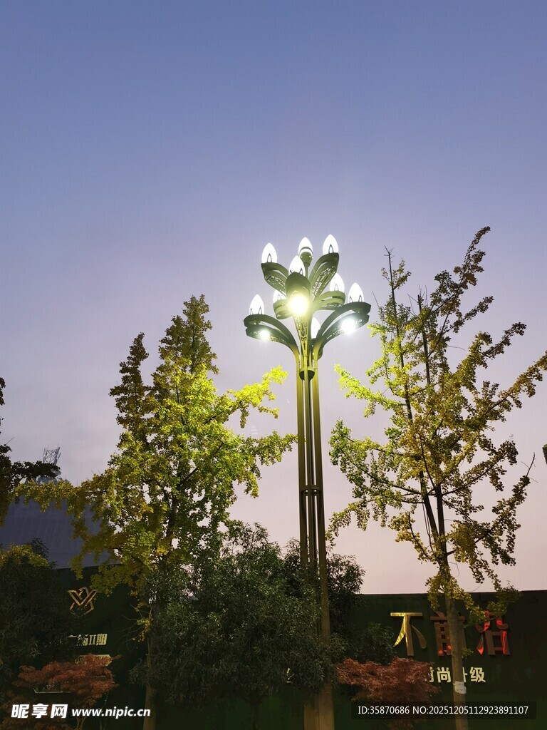 夜幕下的多彩景观灯