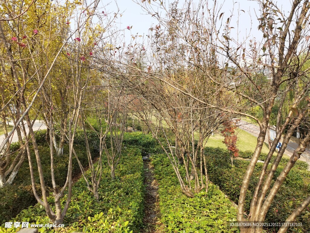 春日园林绿植景观