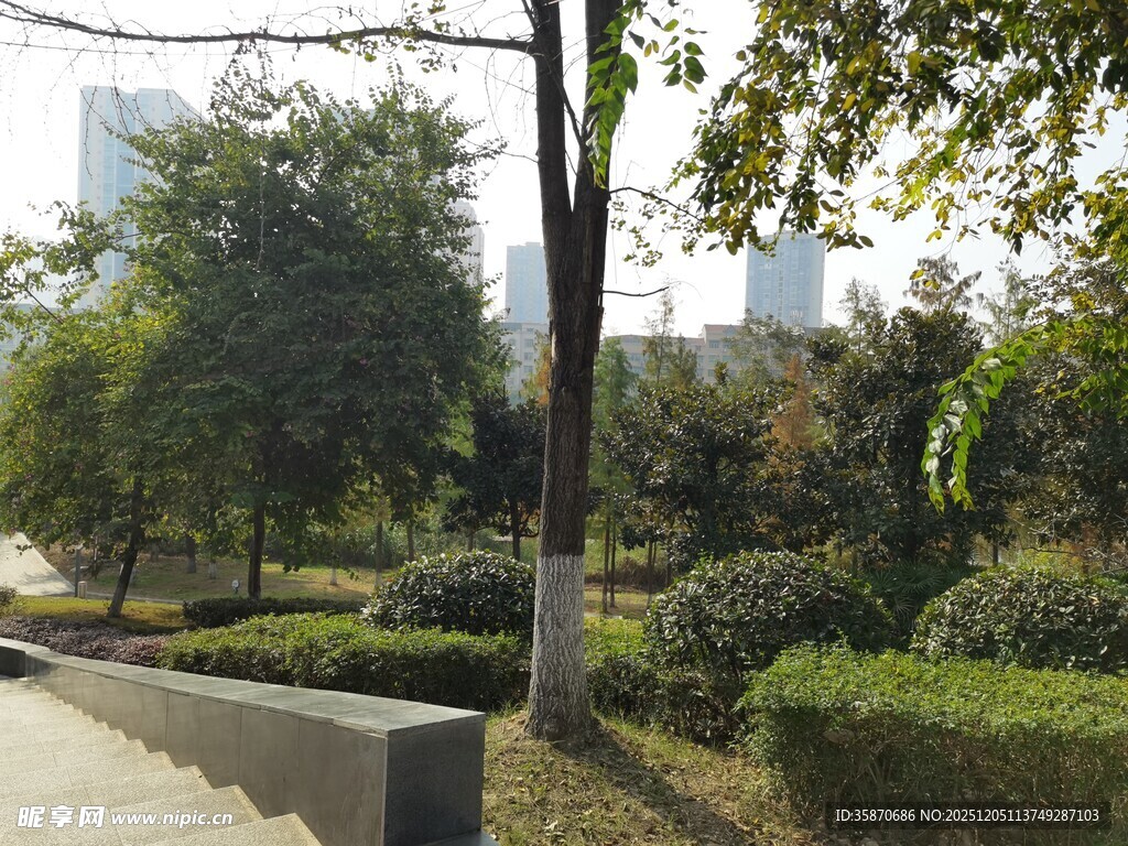 城市公园绿意盎然景致