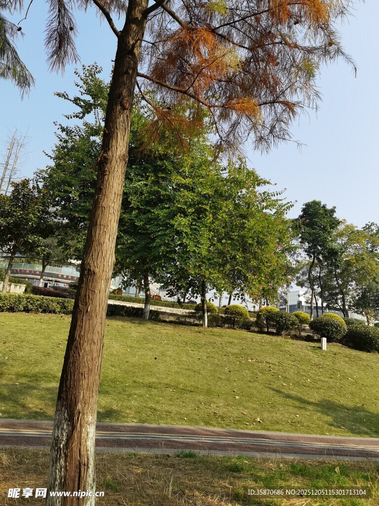 公园绿意盎然的休闲场景