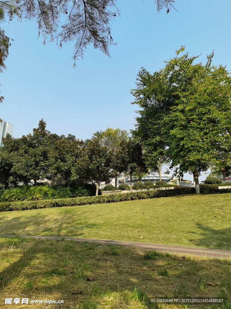 阳光明媚的公园绿地景色