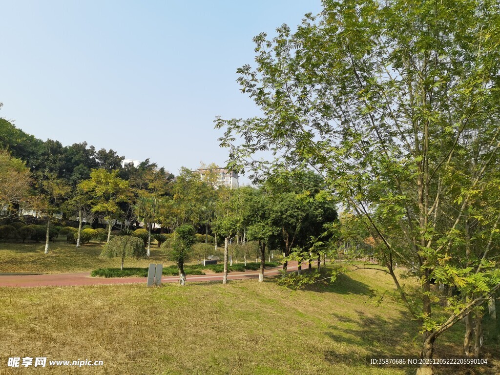 乡村户外自然景致