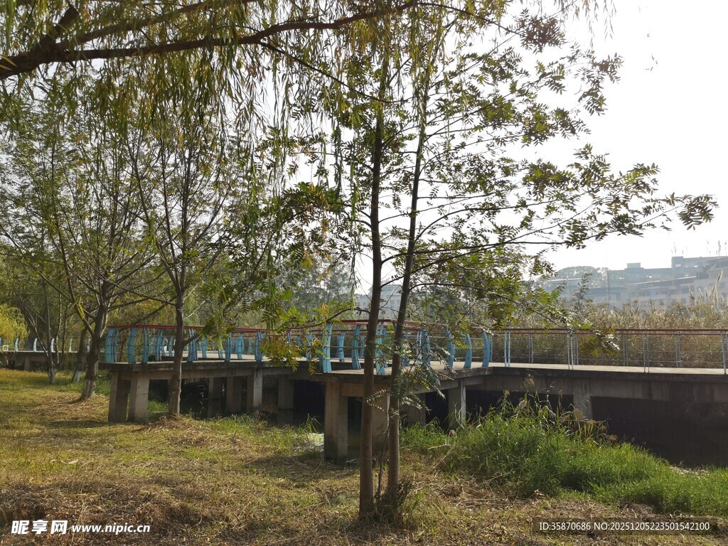 河畔树林中的长桥风景