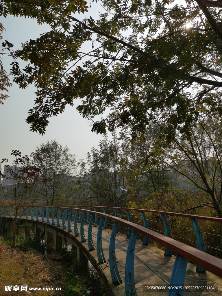 林间蓝桥秋景如画