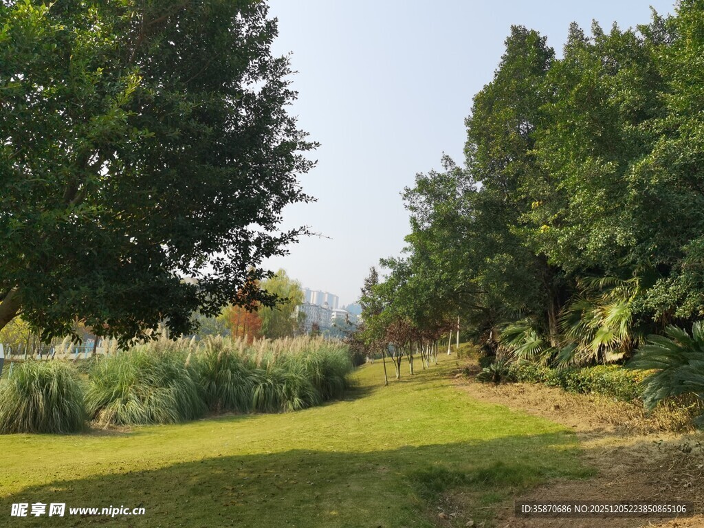 林间草地自然风光图