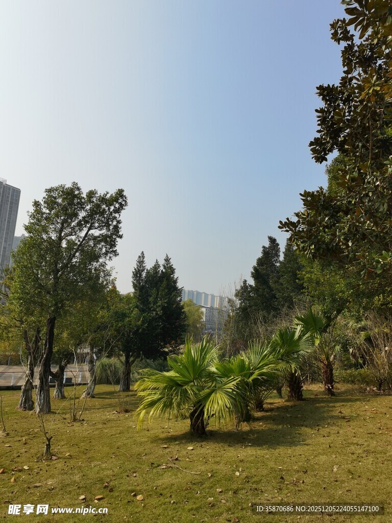 户外绿意盎然的休闲草地