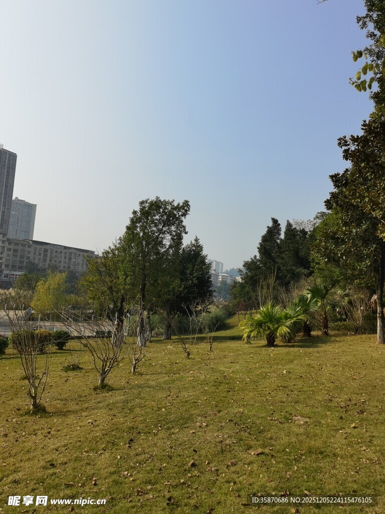 城市中的开阔绿地景观