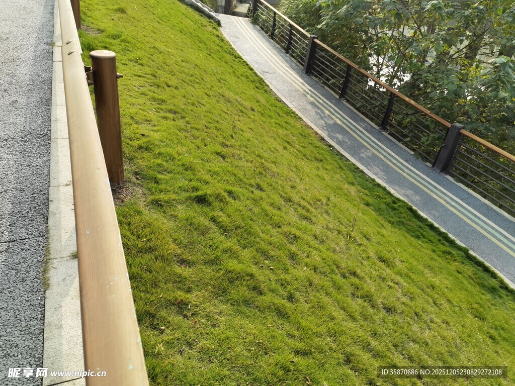 路边翠绿斜坡护栏景观