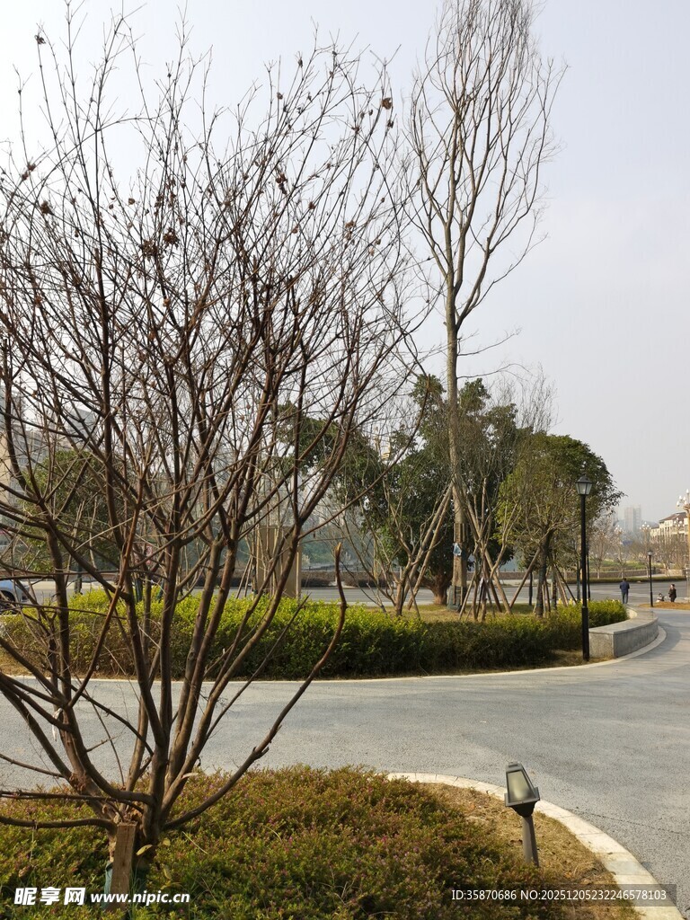 冬日公园的空旷道路场景