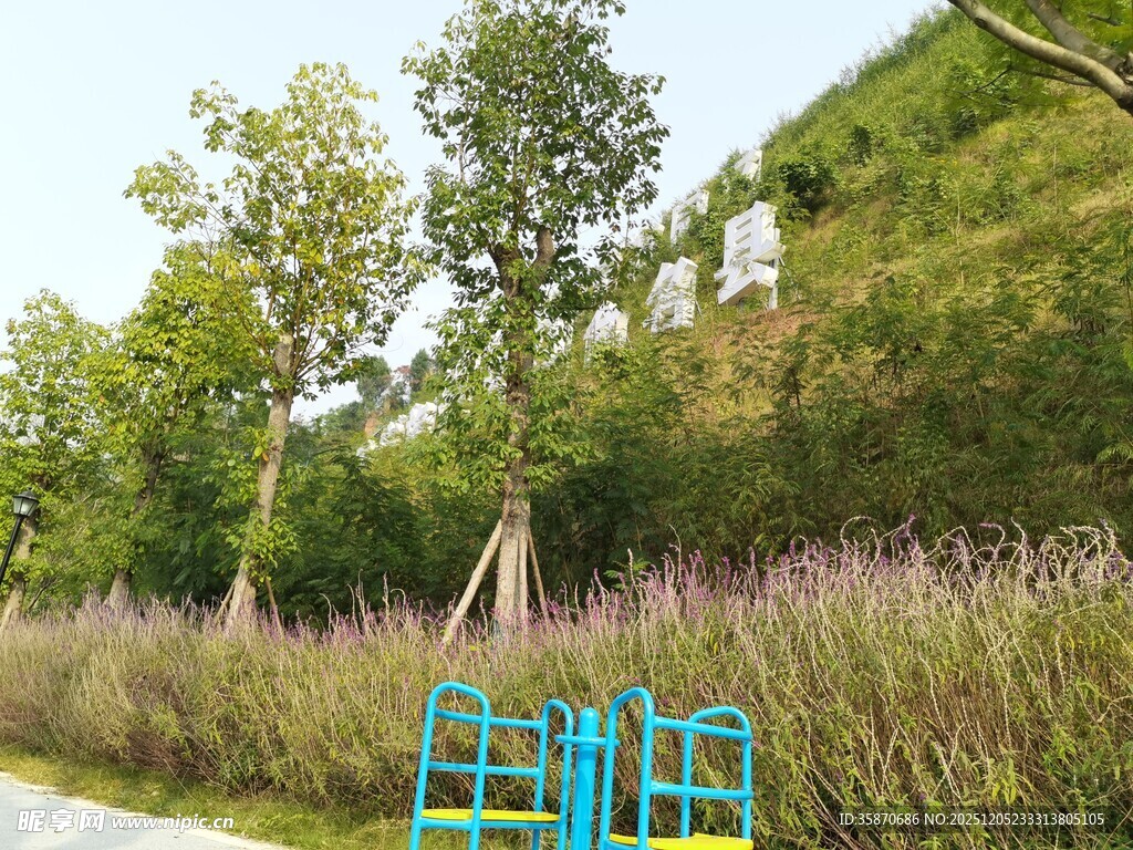 户外绿植旁的蓝色梯子景观