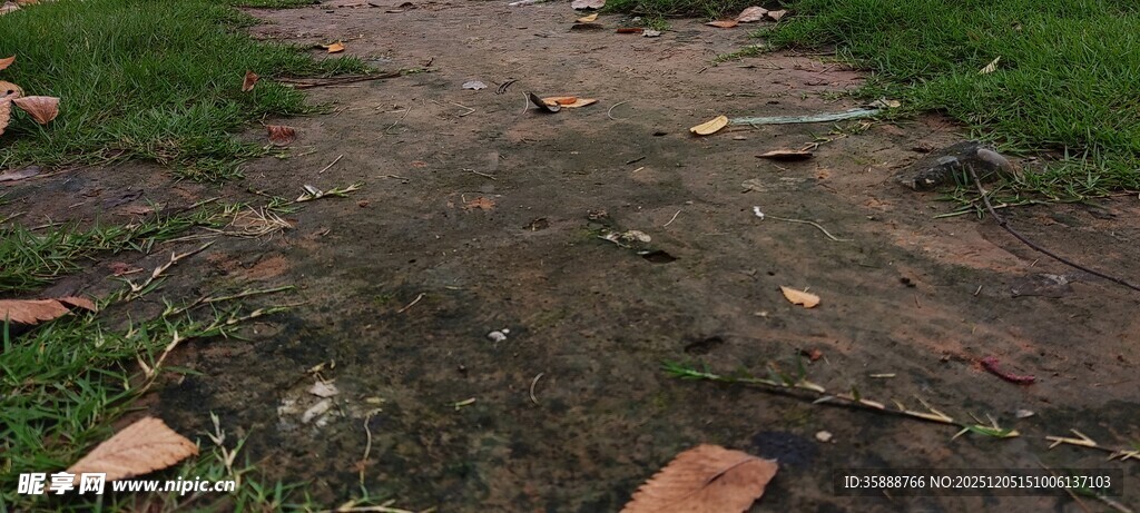 泥泞小径上的残旧瓦片