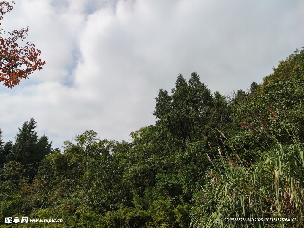 山林绿意蓝天白云相伴