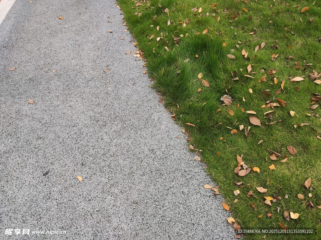 路边草地与散落枯叶