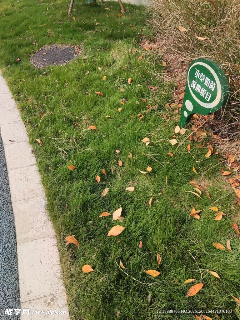 草坪边的爱护草地提示牌