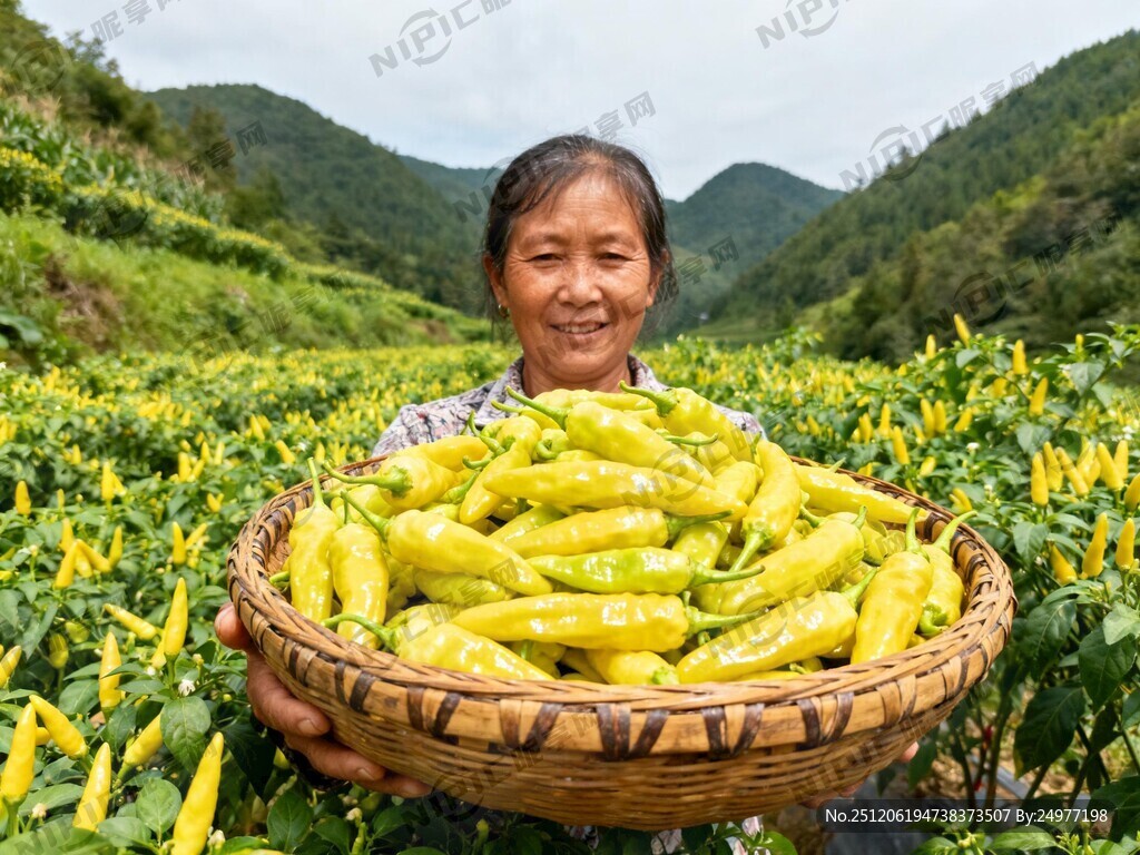 图片背景黄辣椒基地青山绿水的