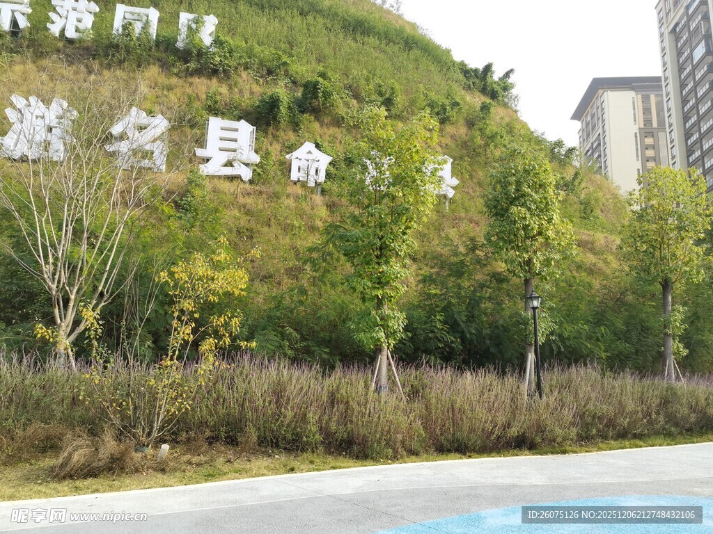 嘉兴县俞汇村入口景观