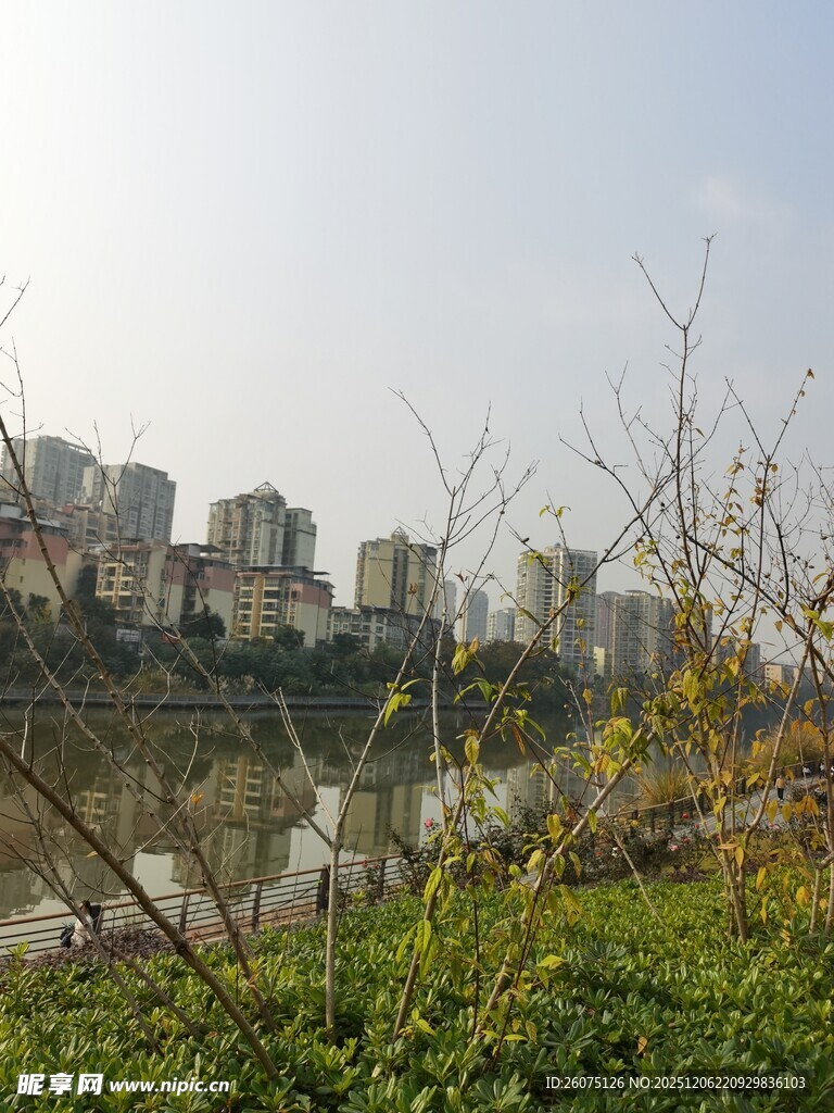 城市河畔风景