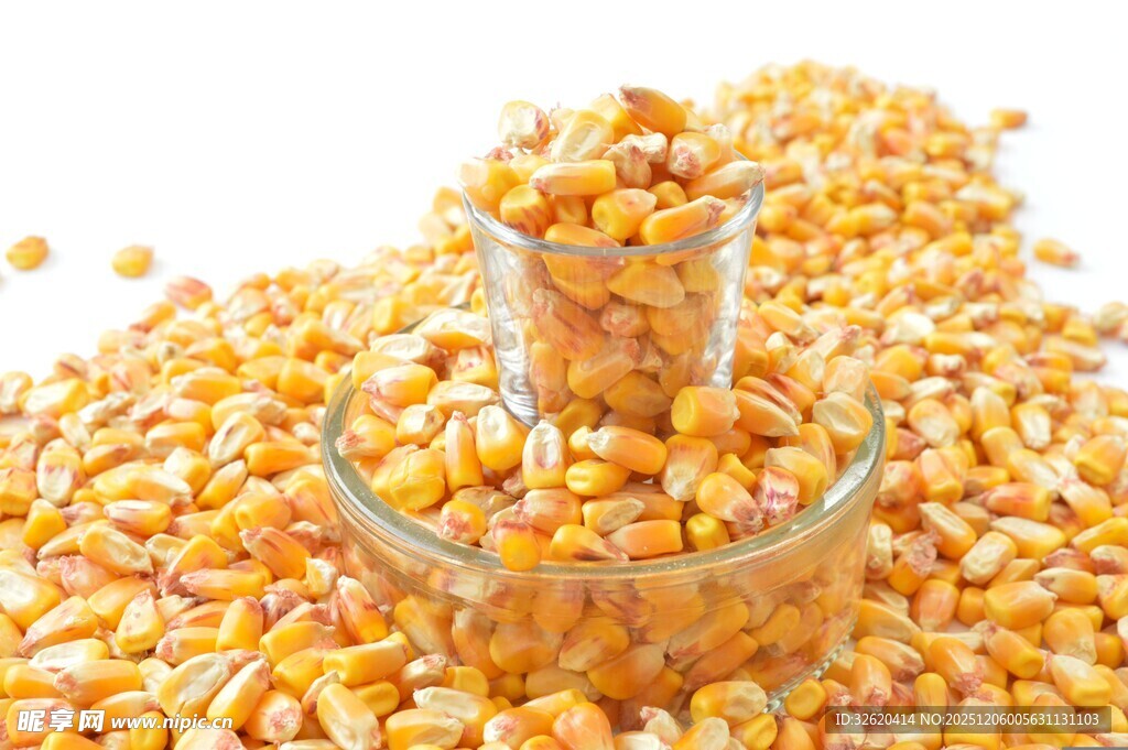 玉米粒