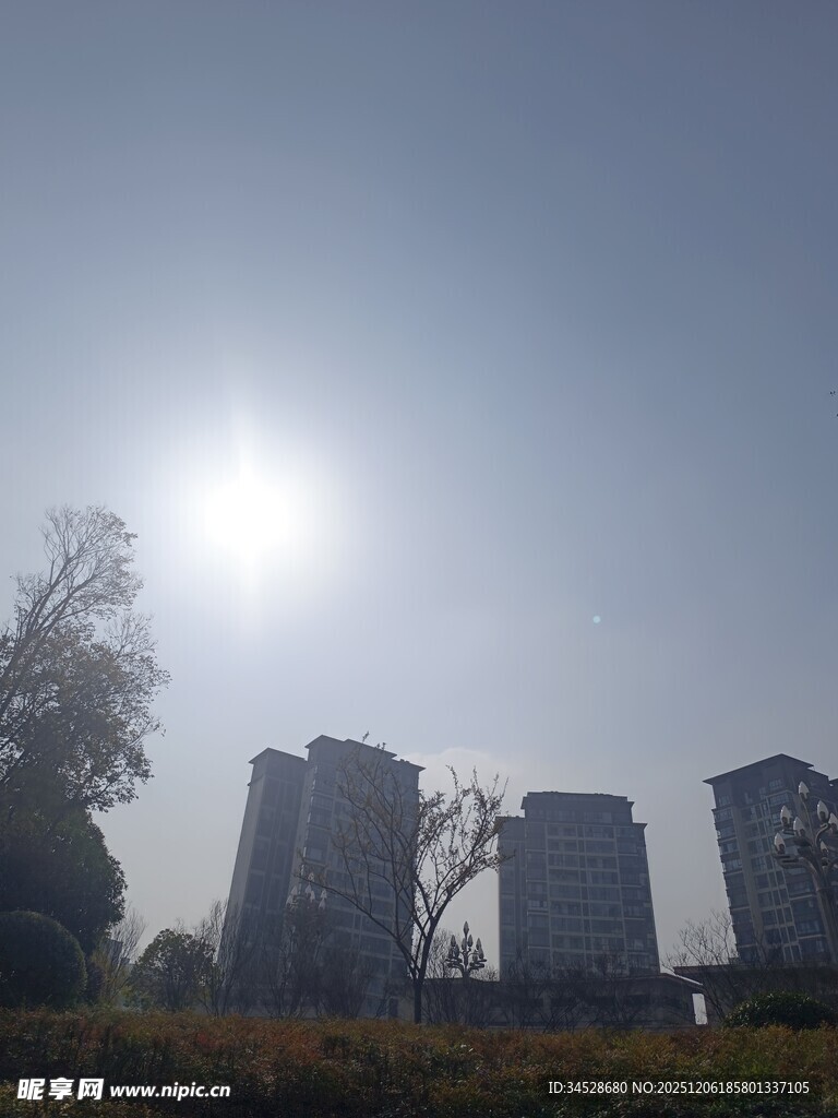 阳光下的城市建筑剪影